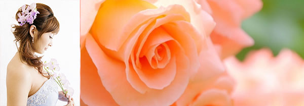 名古屋スピリチュアルヒーリング・魂レベルで響き合うパートナーとの出会いを引き寄せる