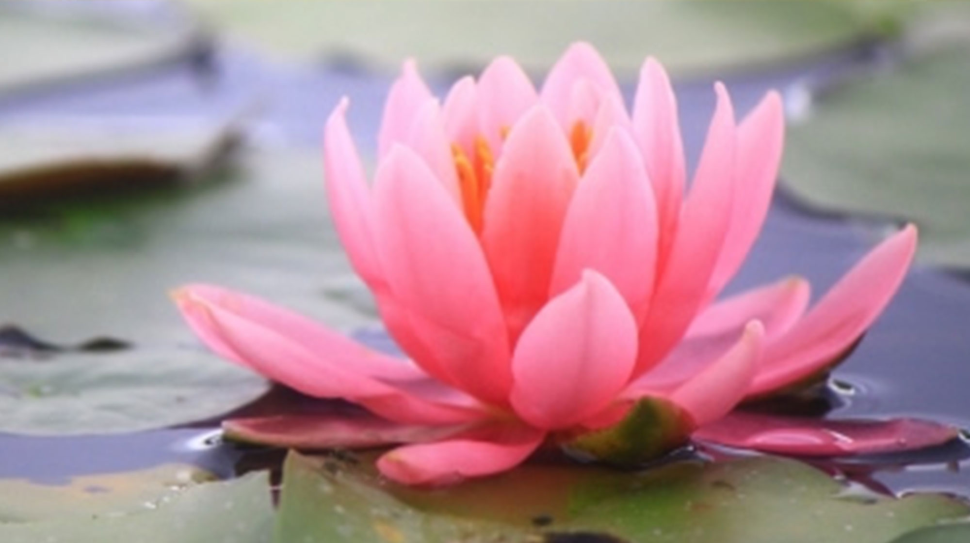 マインドフルネス瞑想のイメージ